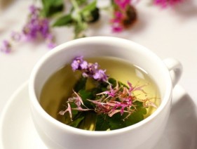 Иван-чай: целебные свойства