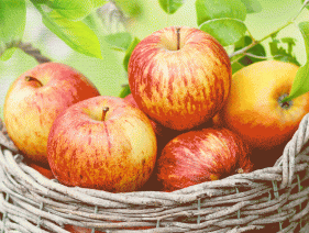 Поздравляем с Яблочным Спасом!