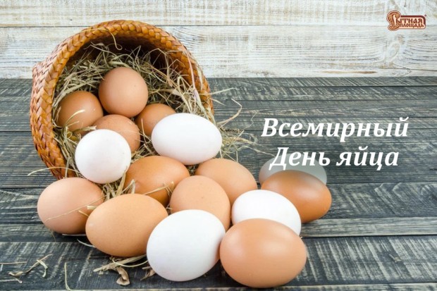 Всемирный день яйца